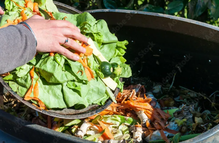 食品残渣の悪臭