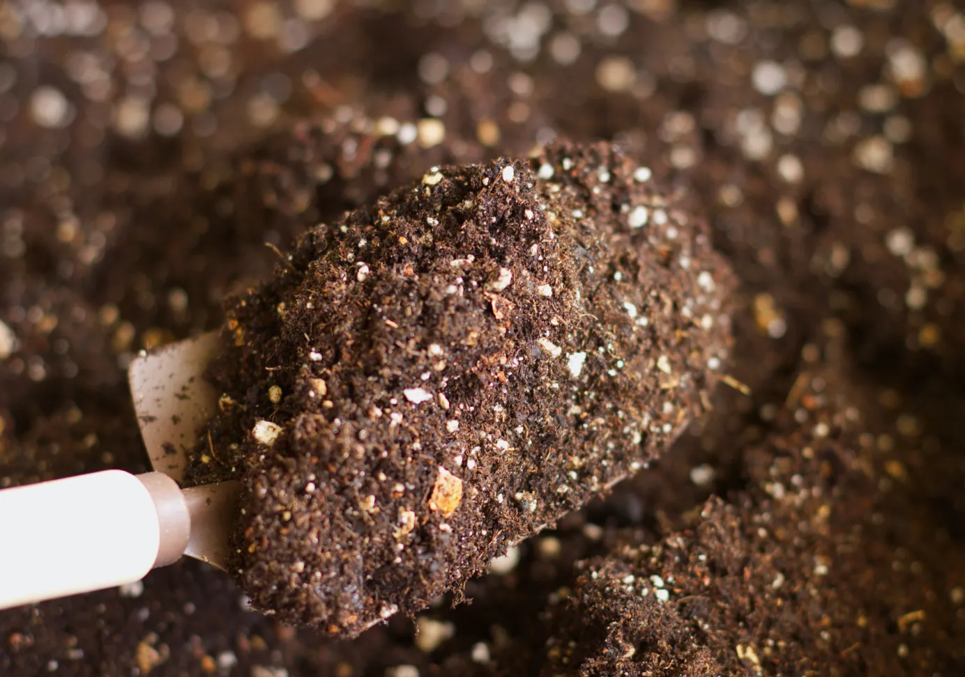 化学物質不使用