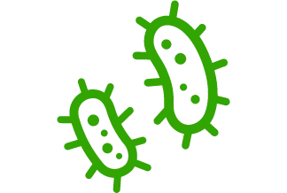 微生物が内部に浸透