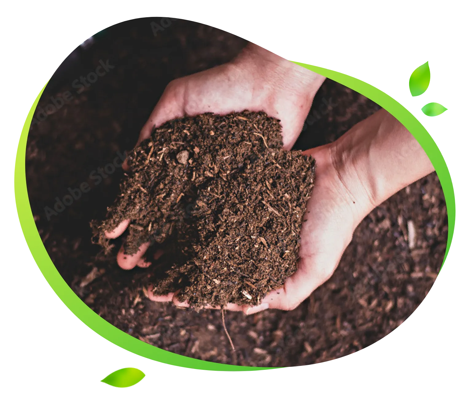 脅威のスピードで徹底分解!