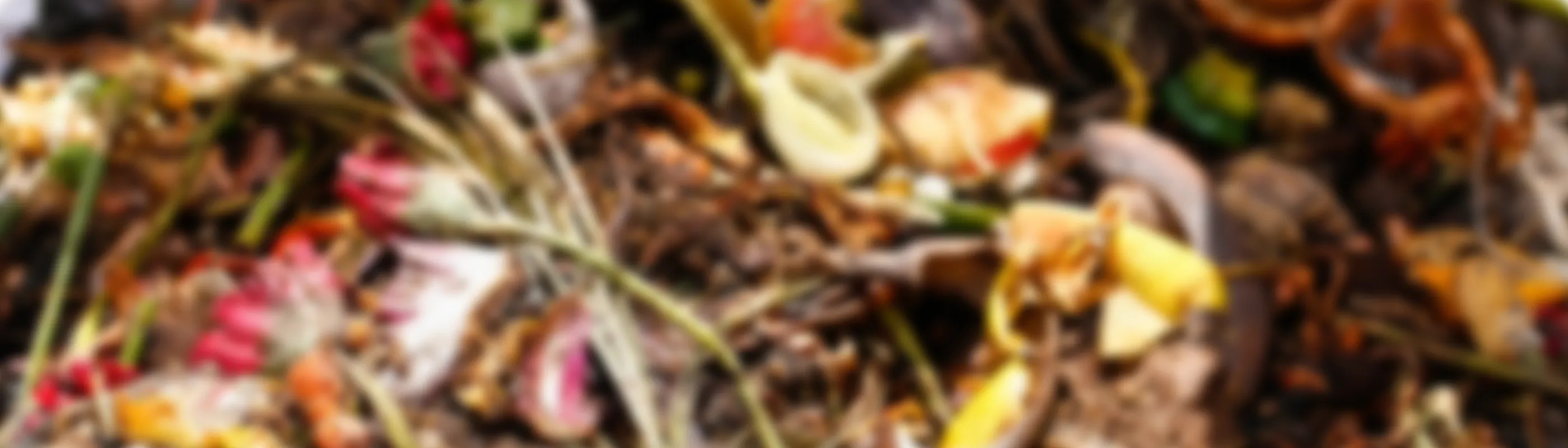 有機消臭土の特徴