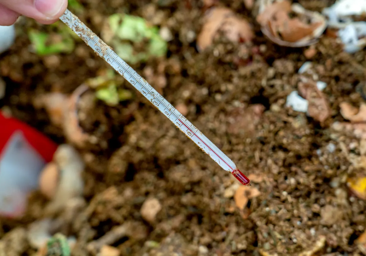 一年中使用可能