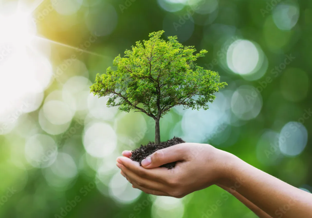 循環型で環境保護に最適